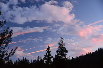 DSC_0103 (Large).JPG